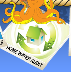 Home Water Audit